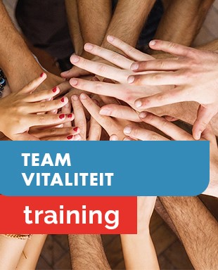 miniaturen - training team vitaliteit_310x384.jpg